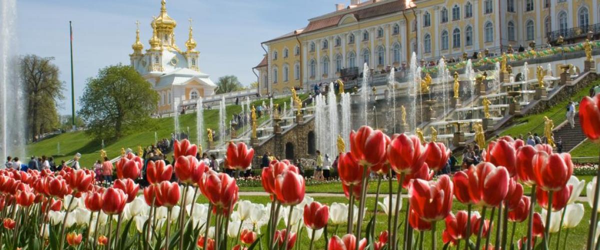 Pietarhovi on Pietarin loistokkaimpia palatseja. Pieterhovi I Lähialuematkat